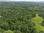 Beautiful mostly level wooded 5 acre lot to build your dream home. Located on Deer Run road which is a horseshoe shaped road coming out to Spring lake road in 2 areas.  The homes on Deer Run are on 3 to 5 acre lots and the house prices range from the 700, 000s probably into the millions.  The utilities are underground so aesthetically beautiful without wires. To the right of the wooded parcel is a huge separation of about 3 acres of meadow. So you can have plenty of privacy to build your dream estate with plenty of separation from your neighbors and room to put whatever extras you want for your home ie tennis court , pool, extra garage etc. Leave as many of the trees as boundary that you wish, Just a few miles from Red Hook and not far from Hudson, train station in Rhinecliff or Poughkeepsie. Owners had successful perk test in years past so there are probably numerous locations to build. Whether you want a long driveway to a private estate set back into the acreage or more toward the road will be your choice as 5 acres affords you choice.