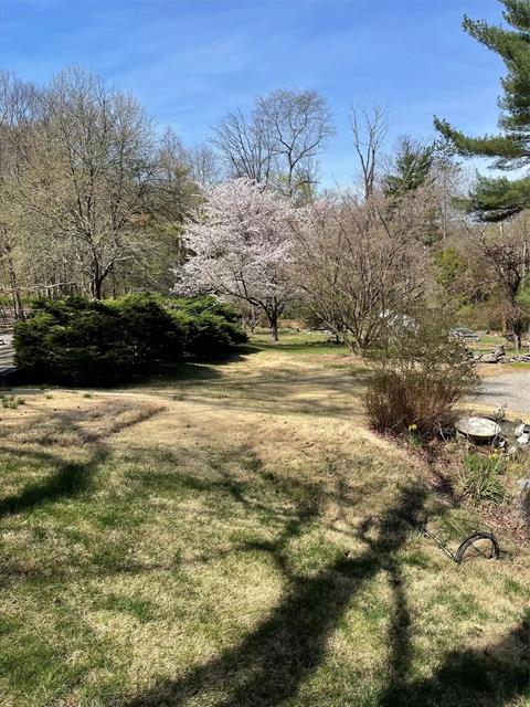 Yard