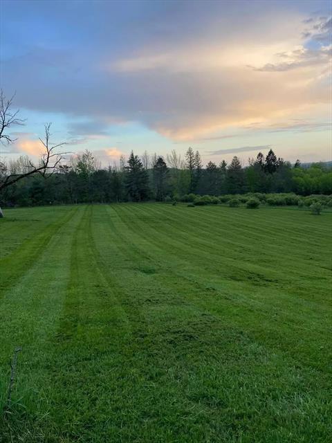 Yard