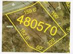 Rare opportunity to own vacant land in a Hamlet Mixed Use area. We have a detailed plan for a proposed build that would be 60x 28 and ample parking. The exposure on Route 343 is exceptional.Any building is subject to planning and zoning approval.