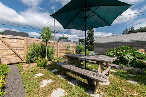 Yard