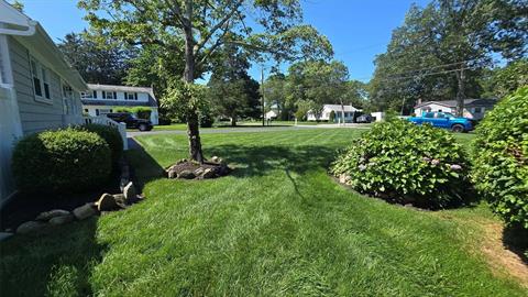 Yard