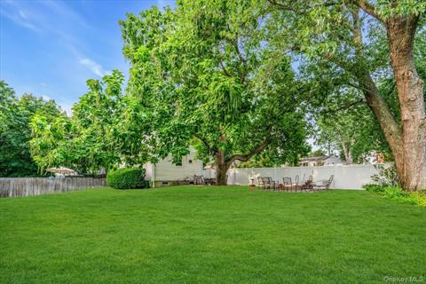 Yard