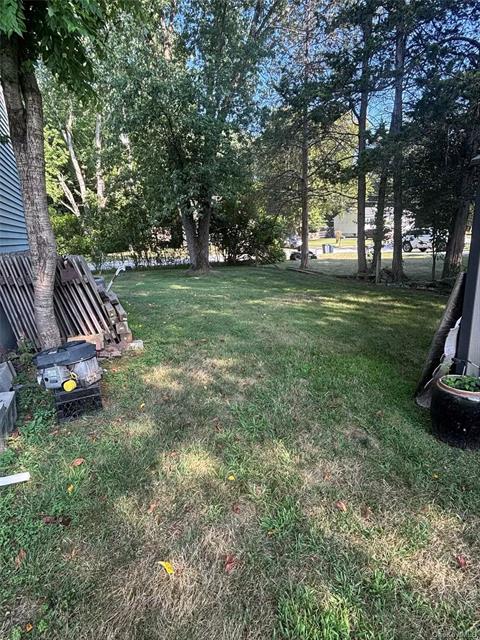 Yard