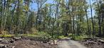 Beautiful, mostly wooded and level property! This land would be great for recreation, hunting, a family compound or build your dream home! Some logging has recently been done and a rough driveway has been established. With over 2400 feet of road frontage on this well maintained County Road, subdividing this property into 3+ acre lots (with at least 300&rsquo; of road frontage) would be fairly easy. Located minutes to the charming hamlet of Narrowsburg, NY, this is a great location! Come walk this lovely property today.
