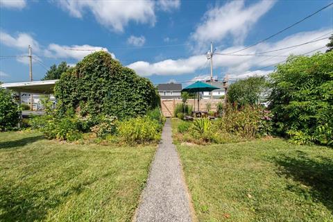 Yard