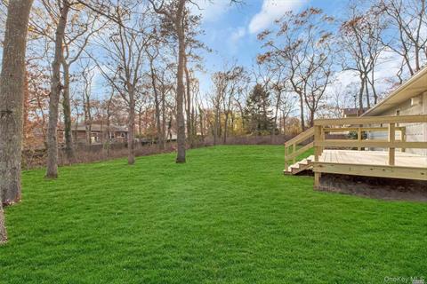 Yard