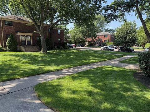 Yard