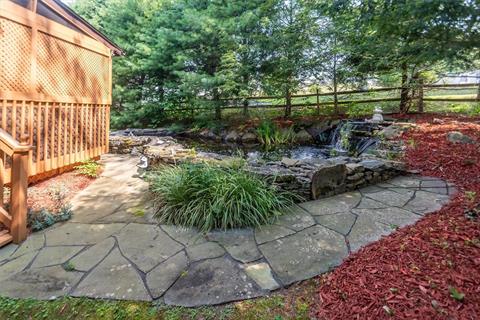Pond