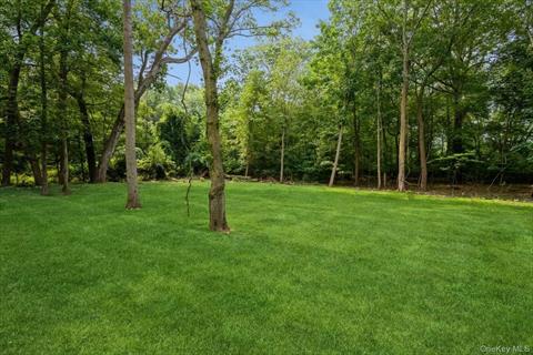 Yard