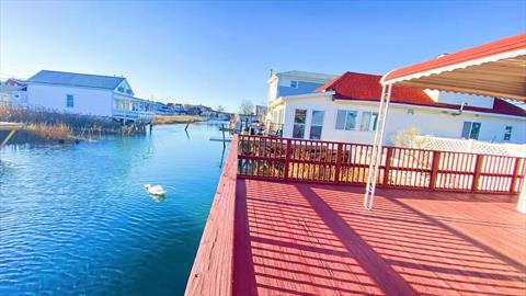 Dock