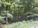 107 acre property on western edge of the Catskills in a private, heavily wooded setting. Ideal for recreation, residential or hunting use. There is a small cabin located on the property which is being sold as-is and most likely a tear-down. Located approximately two hours from GW bridge and within easy driving distance of the shops and restaurants in near-by Roscoe and Hancock.