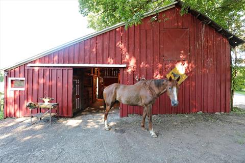 Stable