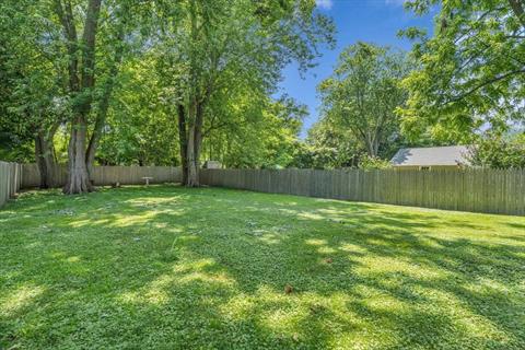 Yard