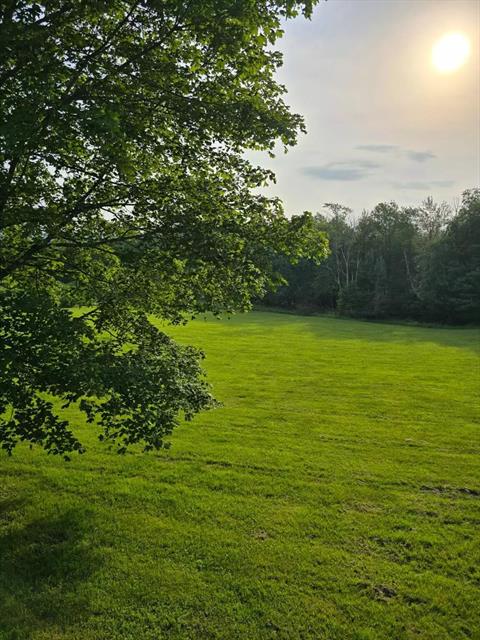 Yard