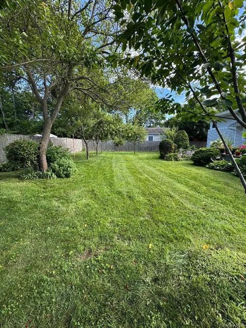 Yard