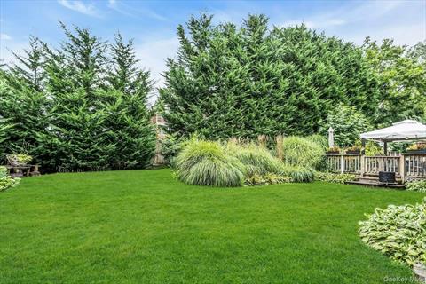 Yard