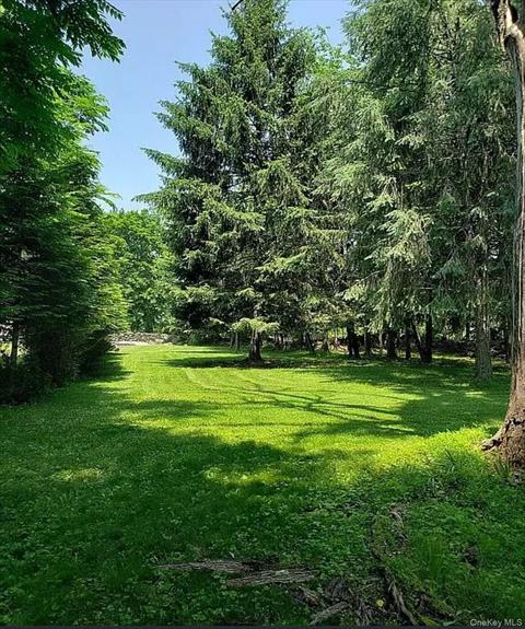 Yard