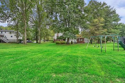 Yard