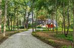 Tucked away on a secluded 2.1 acre wooded lot in one of Sagaponack&rsquo;s most coveted enclaves, 139 Greenleaf Lane offers an exquisite blend of privacy, elegance and timeless Hamptons charm. Set at the end of a quiet, tree lined cul-de-sac surrounded by beautifully landscaped homes, this property is a rare find. From the moment you step into the foyer you are greeted by soaring ceilings, expansive windows and skylights that bathe the interiors in natural light and give the feeling of being outside in nature. The open concept living, dining, kitchen and sitting areas are designed for effortless entertaining, with seamless access to the outdoors through sliding glass doors that lead to a large multi level deck. The private primary suite is thoughtfully located in its own wing, featuring a spacious en suite with a wall of windows, walk in closet, a tiled bathroom with separate tub and shower and separate deck access for your morning coffee. On the other side of the home, two gracious guest bedrooms share another full bath, accompanied by a powder room and convenient laundry space. The second floor reveals a generous forth bedroom with built-ins and an adjourning sitting area - perfect for yoga, reading or relaxing with your favorite show. Outdoors, the private backyard is a true oasis, surrounded by mature trees that ensure privacy. The expansive deck offers ample space for gatherings, barbecues or simply relaxing. Enjoy the in ground pool set against the peaceful wooded backdrop. The long driveway ensures a quiet secluded setting, yet the location provides quick access to pristine beaches, Wainscott, Sag Harbor, golf courses and popular local spots like Townline BBQ and Wolffer Winery. Room for tennis.