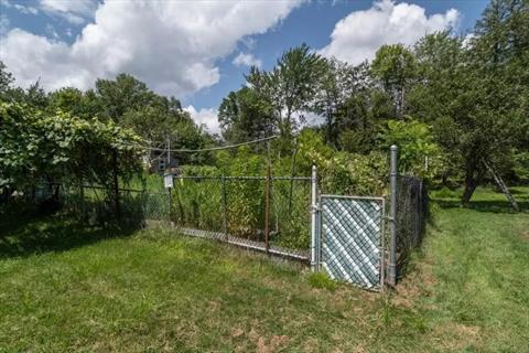 Yard