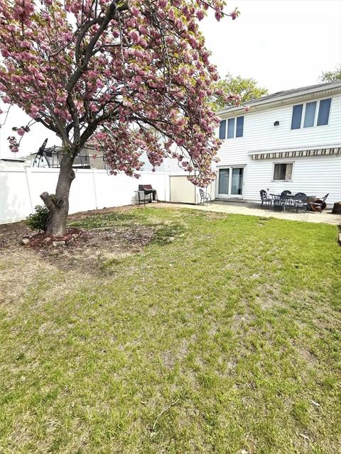 Yard