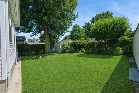Yard