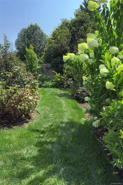 Yard