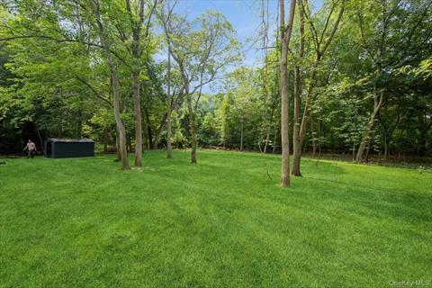 Yard