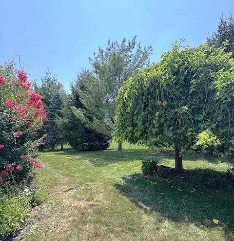 Yard