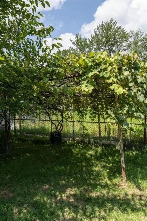 Yard