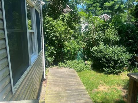 Yard