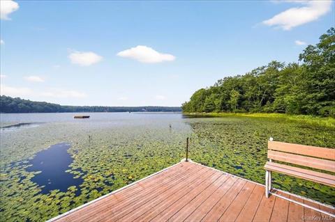Dock