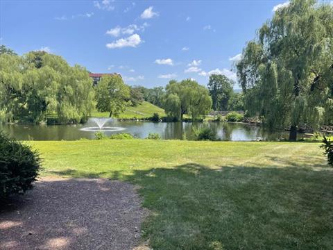 Pond