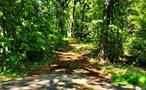 Your Hudson Valley Hideaway Awaits -- 3 Acres in Red HookImagine waking up to the rustle of leaves, sunlight filtering through the trees, and the quiet promise of a day thatâ€™s entirely your own. This 3-acre BOHA-approved wooded parcel in Red Hook offers just that â€” a private, wooded canvas where your dream home can take shape.Nestled in an established neighborhood and only minutes from the charm of Red Hook Village, youâ€™re close to Rhinebeck, Tivoli, Bard College, and just a short drive to Hudsonâ€™s vibrant arts and dining scene. Spend mornings at the farmers market, afternoons exploring scenic trails, and evenings watching the sunset from your own porch.Bring your architect, your builder, and your vision â€” and create the Hudson Valley retreat youâ€™ve always dreamed of.