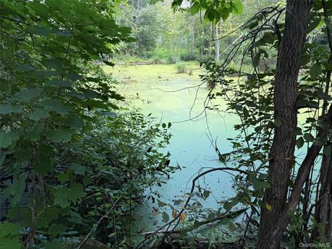 Pond