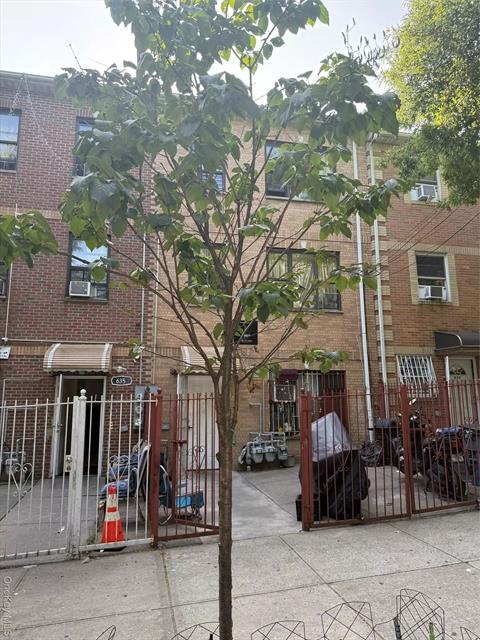 Front of Structure
