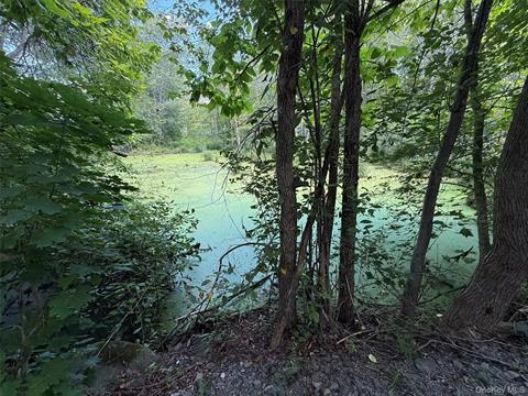 Pond