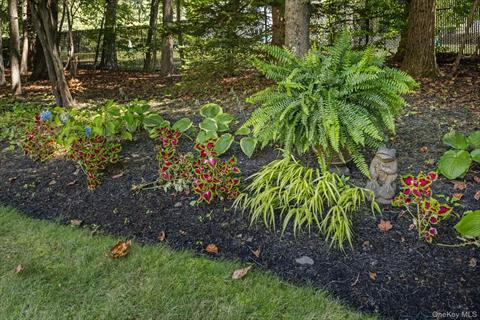 Yard