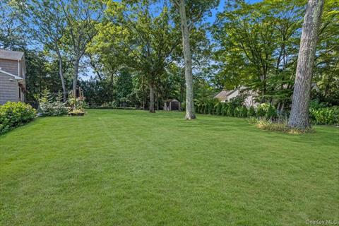 Yard