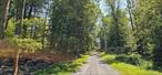 Large land parcel in Narrowsburg! This 122+/- acre lot is mostly wooded and level, with some slightly sloping land and some hunting trails throughout. There is road frontage on Eckes Rd (CR 25), State Rt 97, and Deep Hollow Hill Rd in Narrowsburg, NY. This would be great to build your country getaway or subdivide this land into smaller parcels (at least 3 acres with 300&rsquo; of road frontage). Located very close to the charming town of Narrowsburg with its bustling Main Street. Come take a look at this property today.