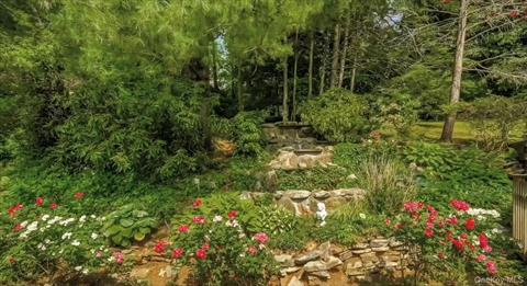 Pond