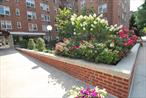 Lovely 1BR at Sadore Lane Estates, boasting with Beautiful Bright Southern tree-lined exposure from every window and ASSIGNED parking spot!! Well maintained complex offers playgrounds, beautiful landscaping, park benches and Olympic sized pool, parking, onsite management, and renting allowed after 2 years of ownership. Low maintenance - Steps to NYC Express Bus & all major highways. Miles of shopping on Central Ave and Ridgehill.