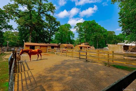 Stable