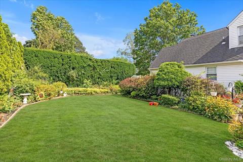 Yard