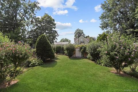 Yard