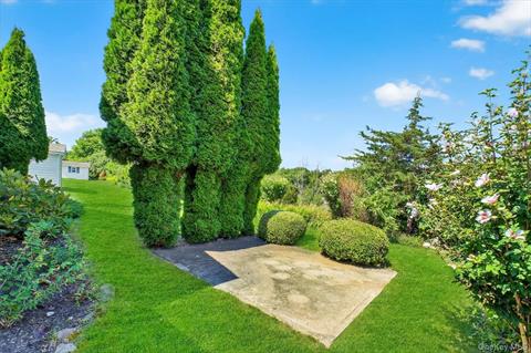 Yard