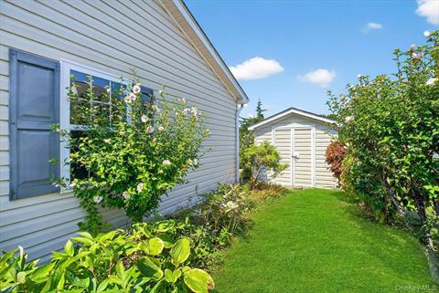 Yard