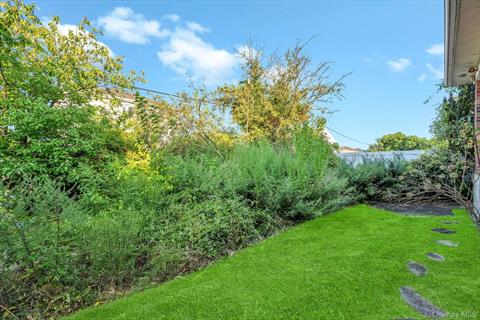 Yard