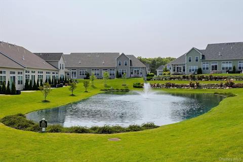 Pond